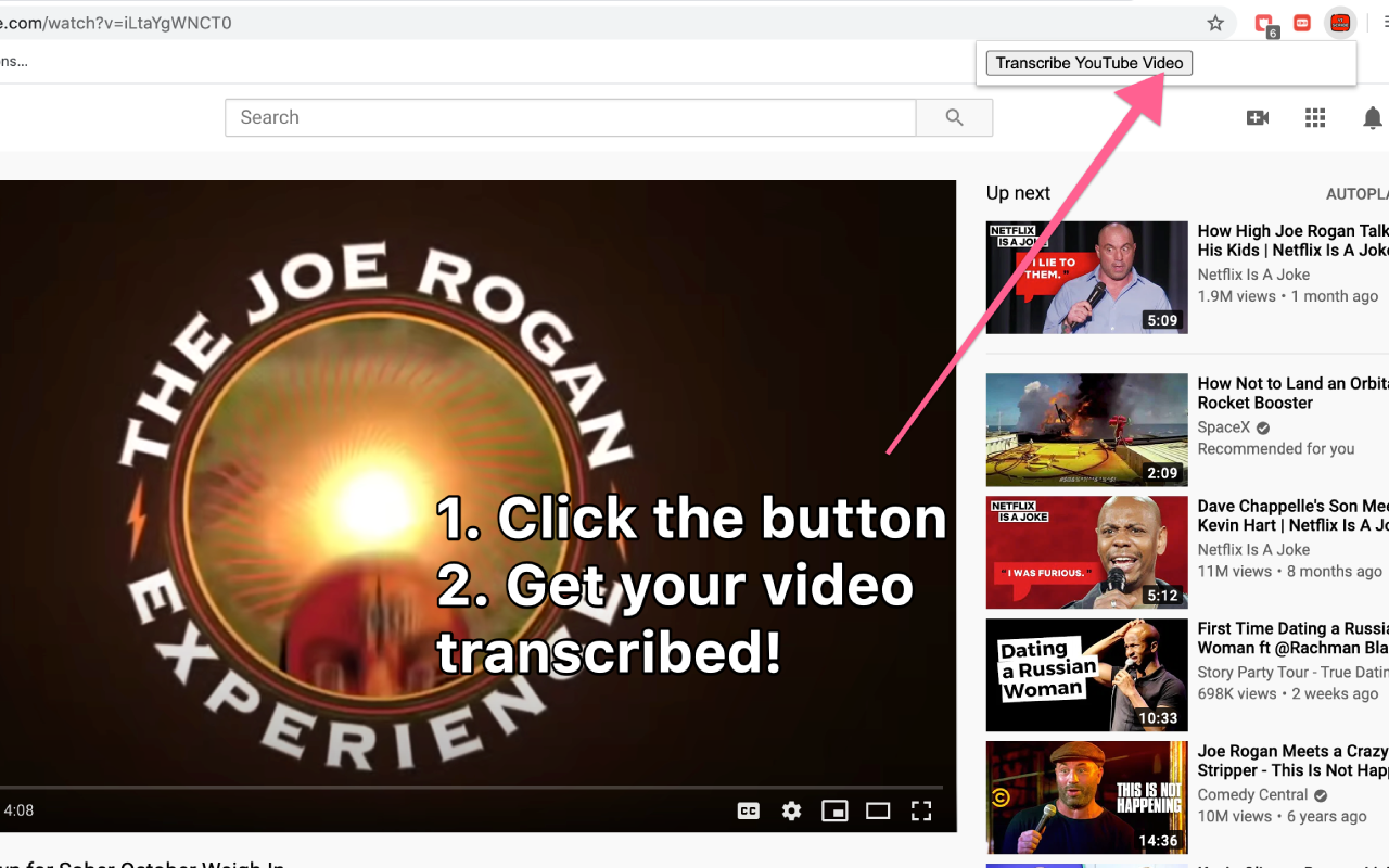 Transcribe YouTube Videos - YTScribe截图1