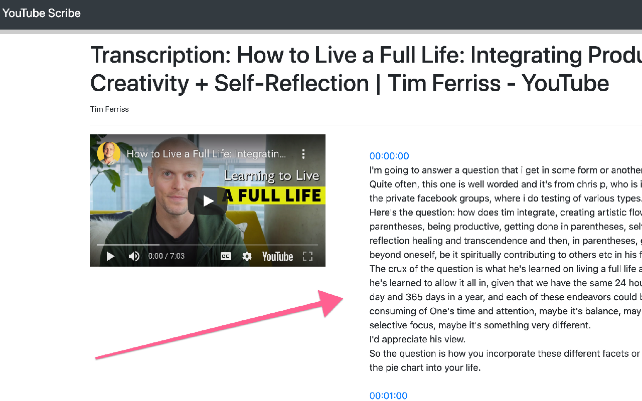 Transcribe YouTube Videos - YTScribe截图4