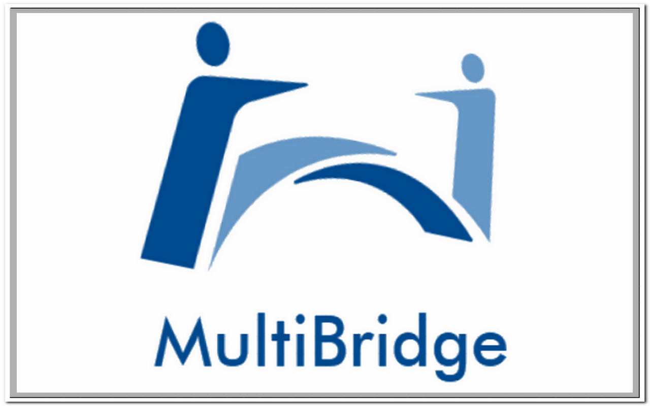 MultiBridge Trader截图3