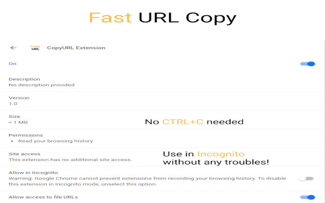 CopyURL Extension截图2