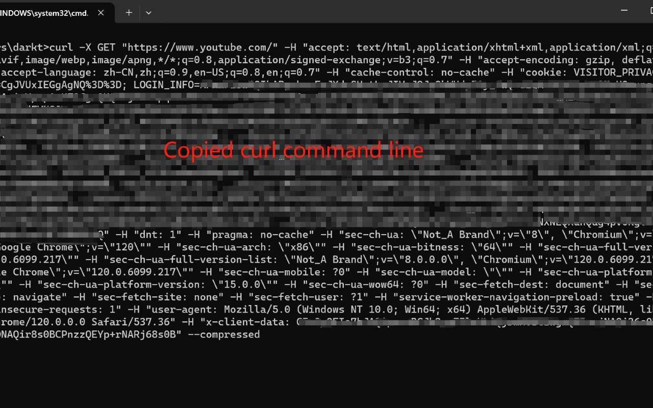 Copy curl on windows截图1
