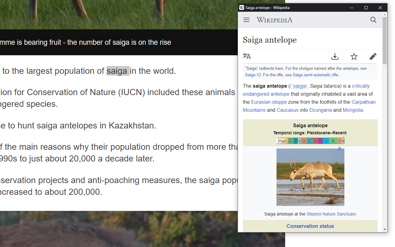 Wikipedia Popup截图1