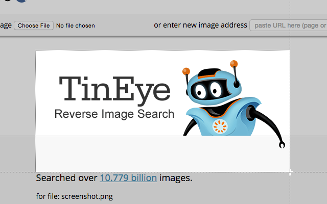 Reverse Image Search截图1