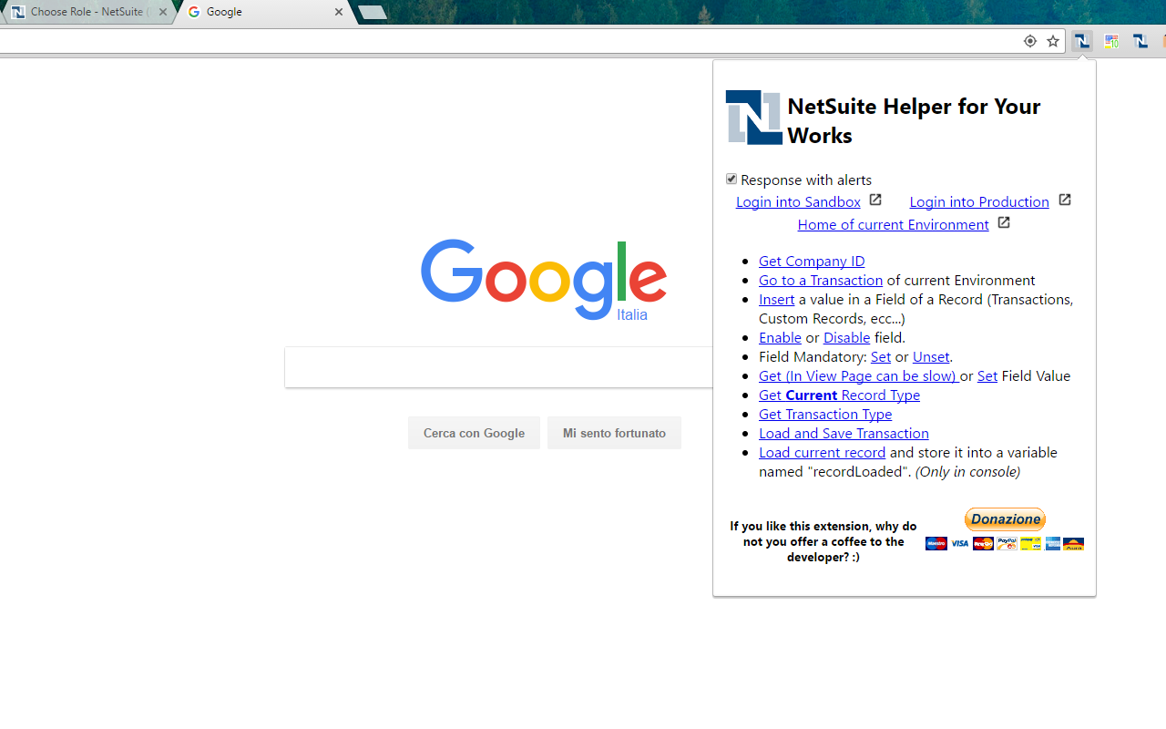 NetSuite Helper for Your Works截图2
