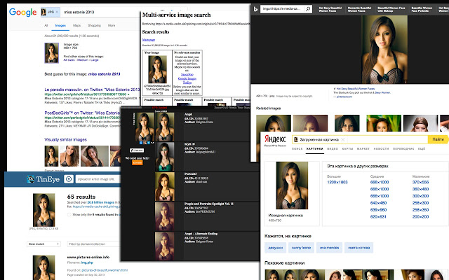 Image Search截图1