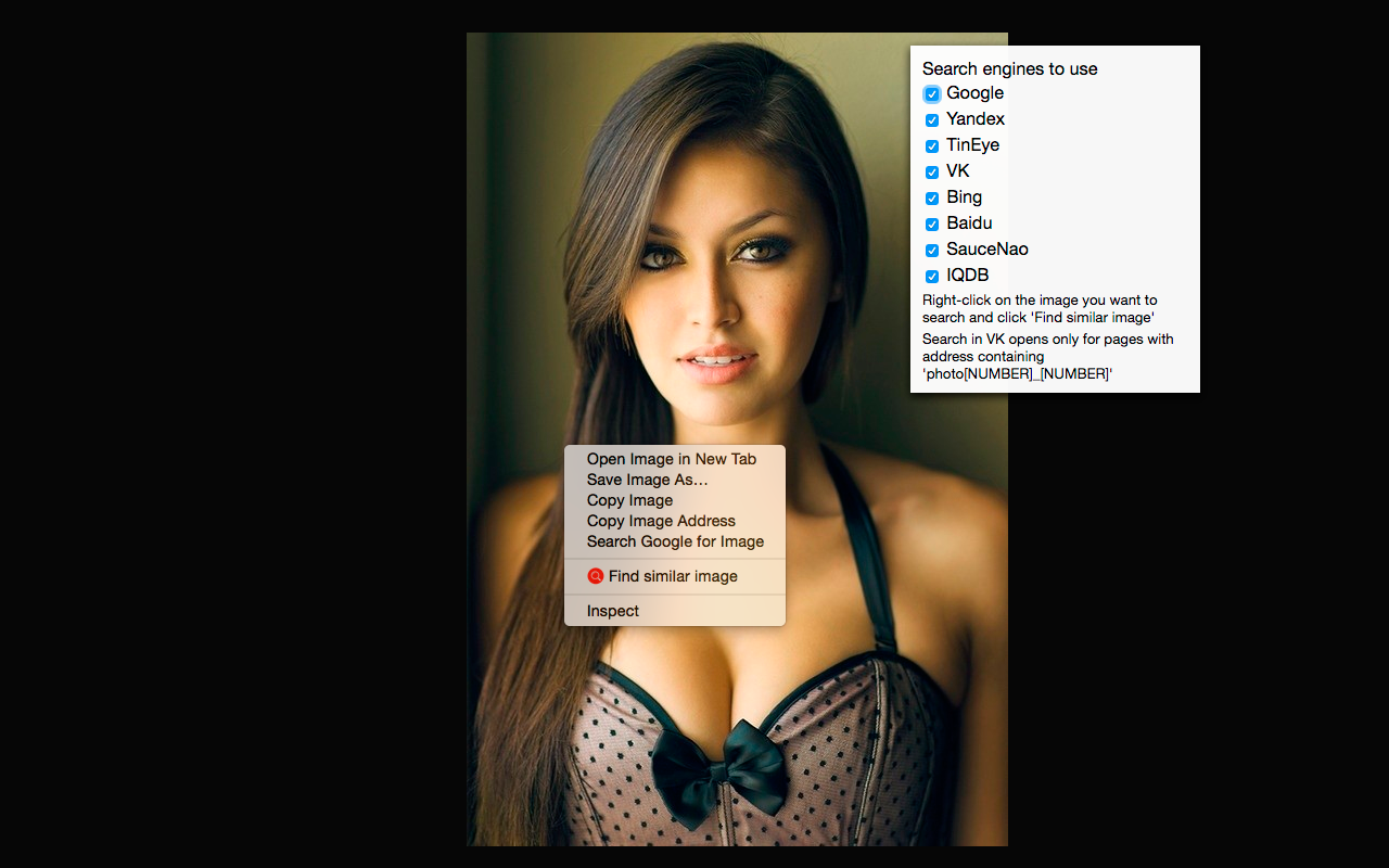Image Search截图2