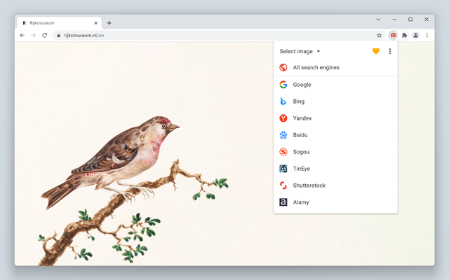Search by Image截图3