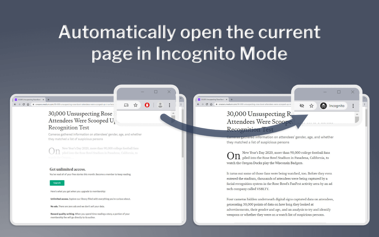 AutoIncognito截图1