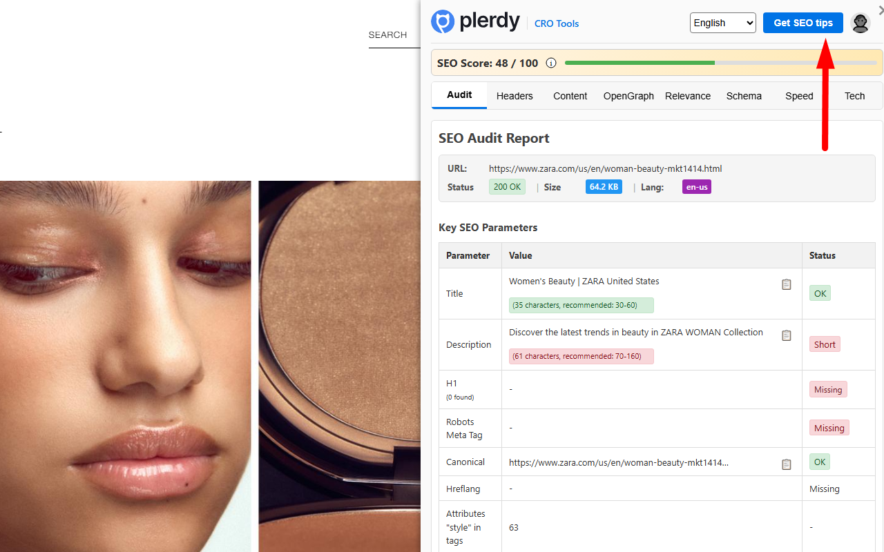Plerdy SEO Analyzer截图3