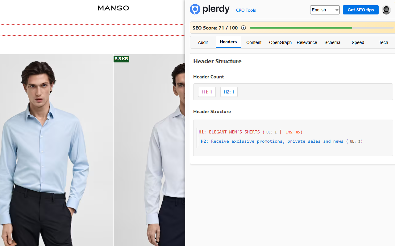 Plerdy SEO Analyzer截图4