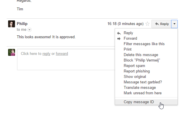 Gmail message ID finder截图1