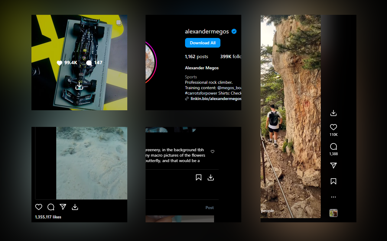 Turbo Downloader for Instagram截图1
