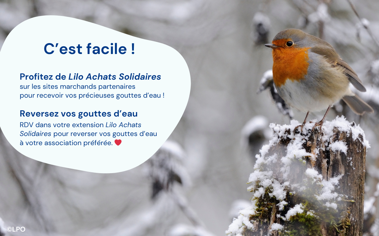 Lilo - Achats Solidaires截图1