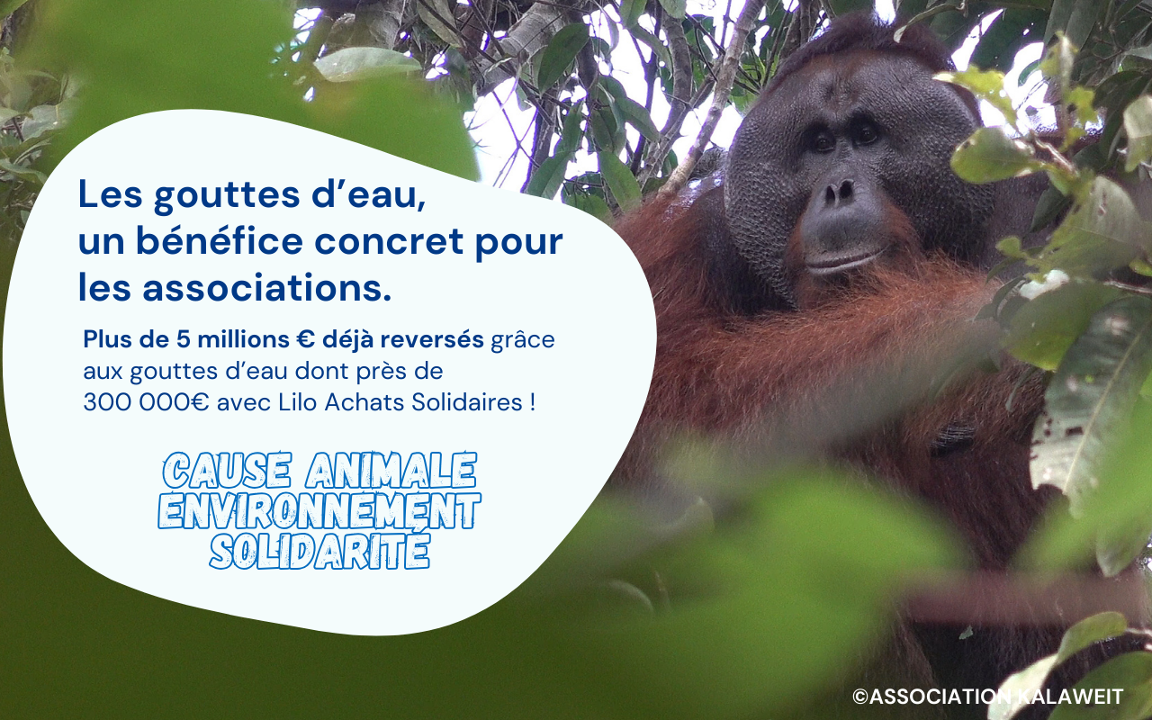 Lilo - Achats Solidaires截图5