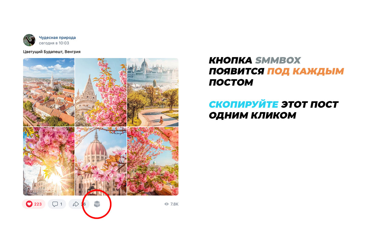 SmmBox - инструмент для СММ截图3