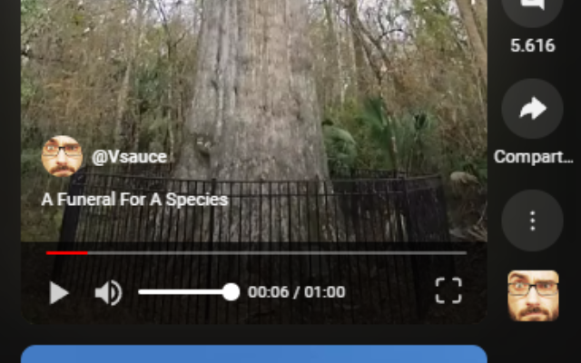 Controls for YouTube™ Shorts截图1