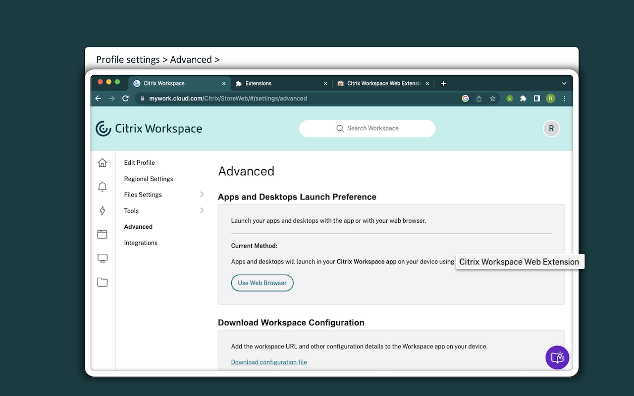 Citrix Web Extension截图4