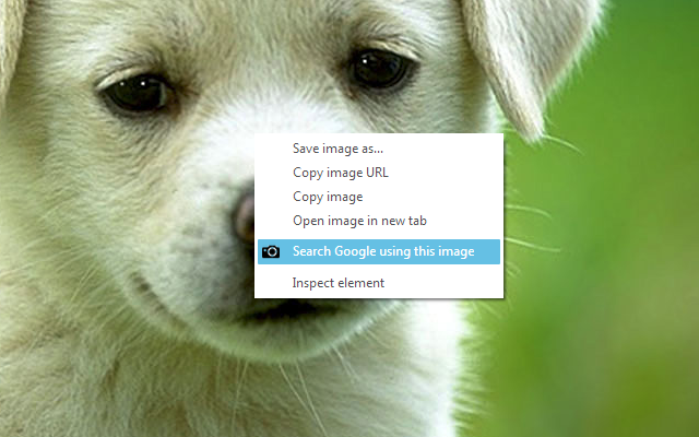 Google Image Search截图1