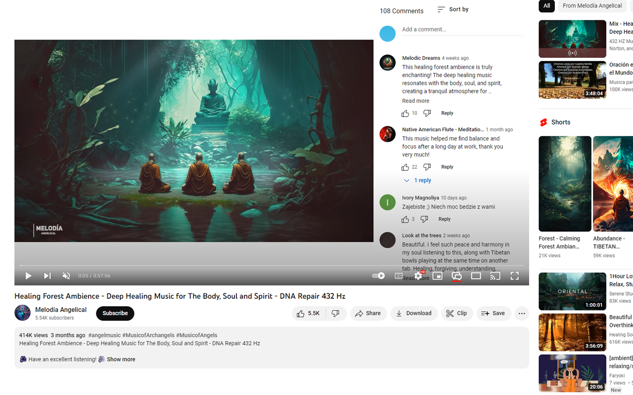 YouTube评论播放器截图2