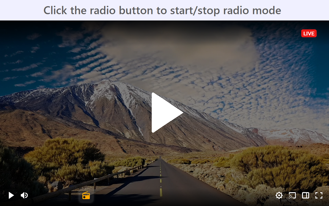 Twitch Radio Mode截图2