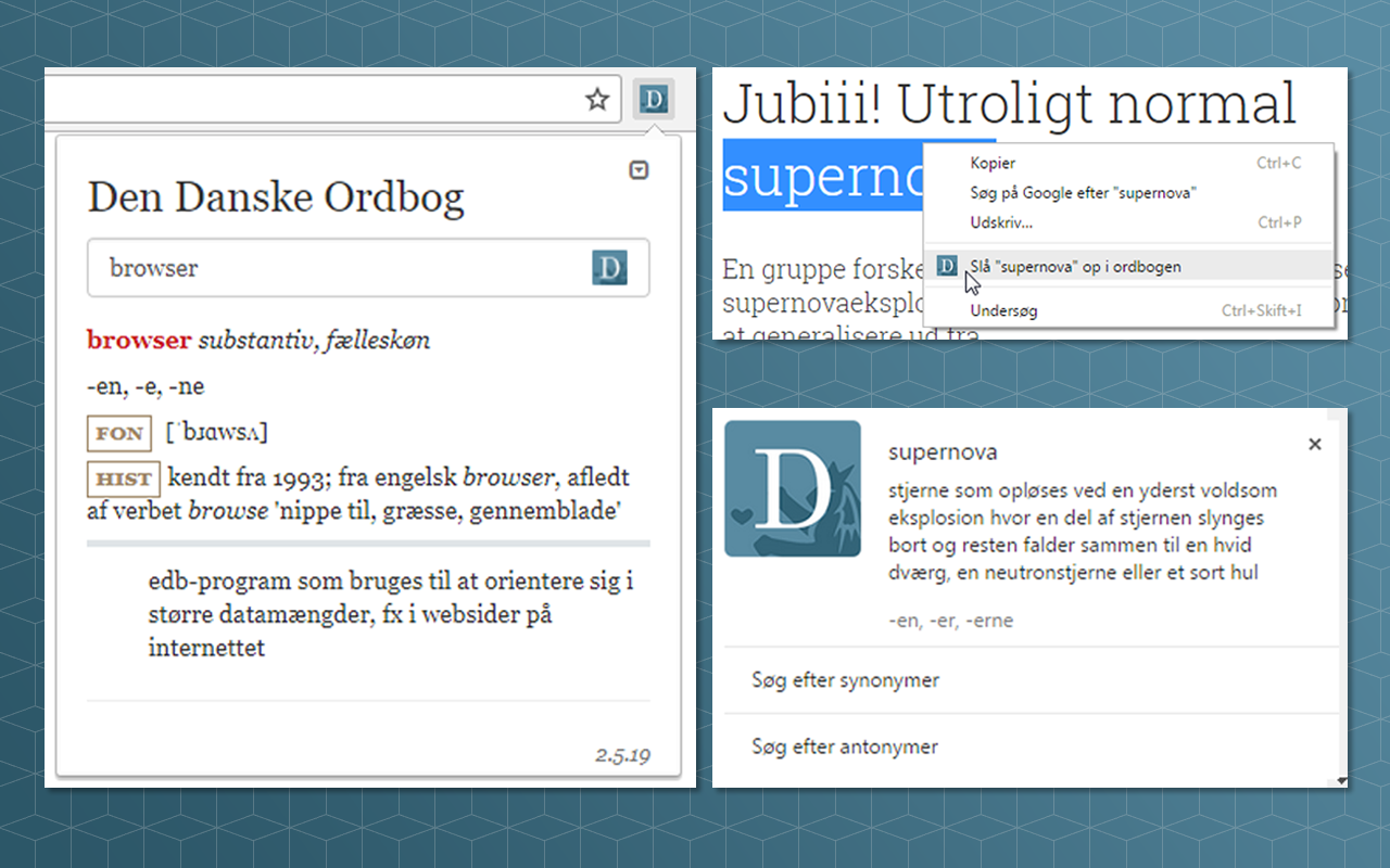 Den Danske Ordbog截图1
