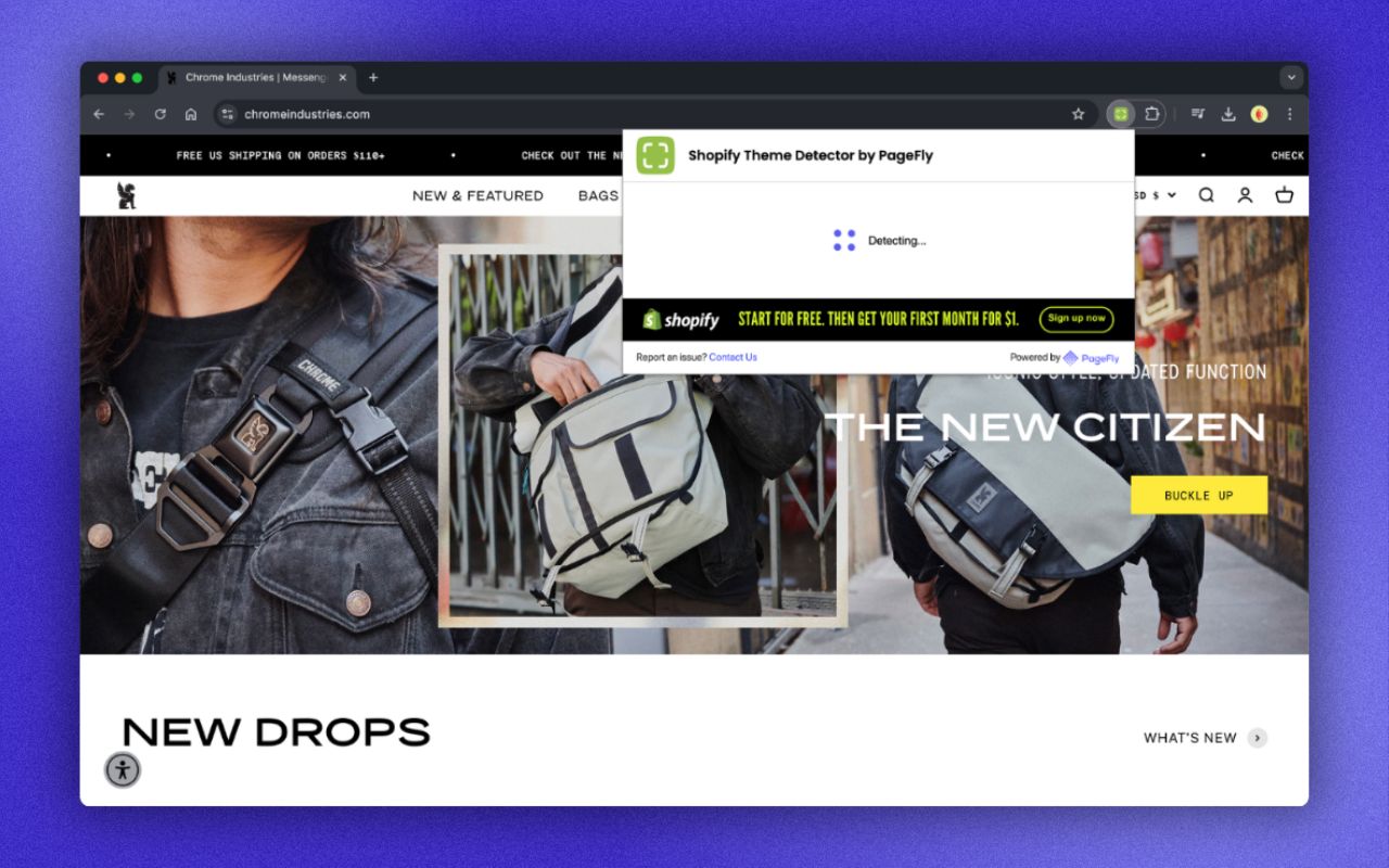 Shopify Theme Detector by PageFly Extension截图3