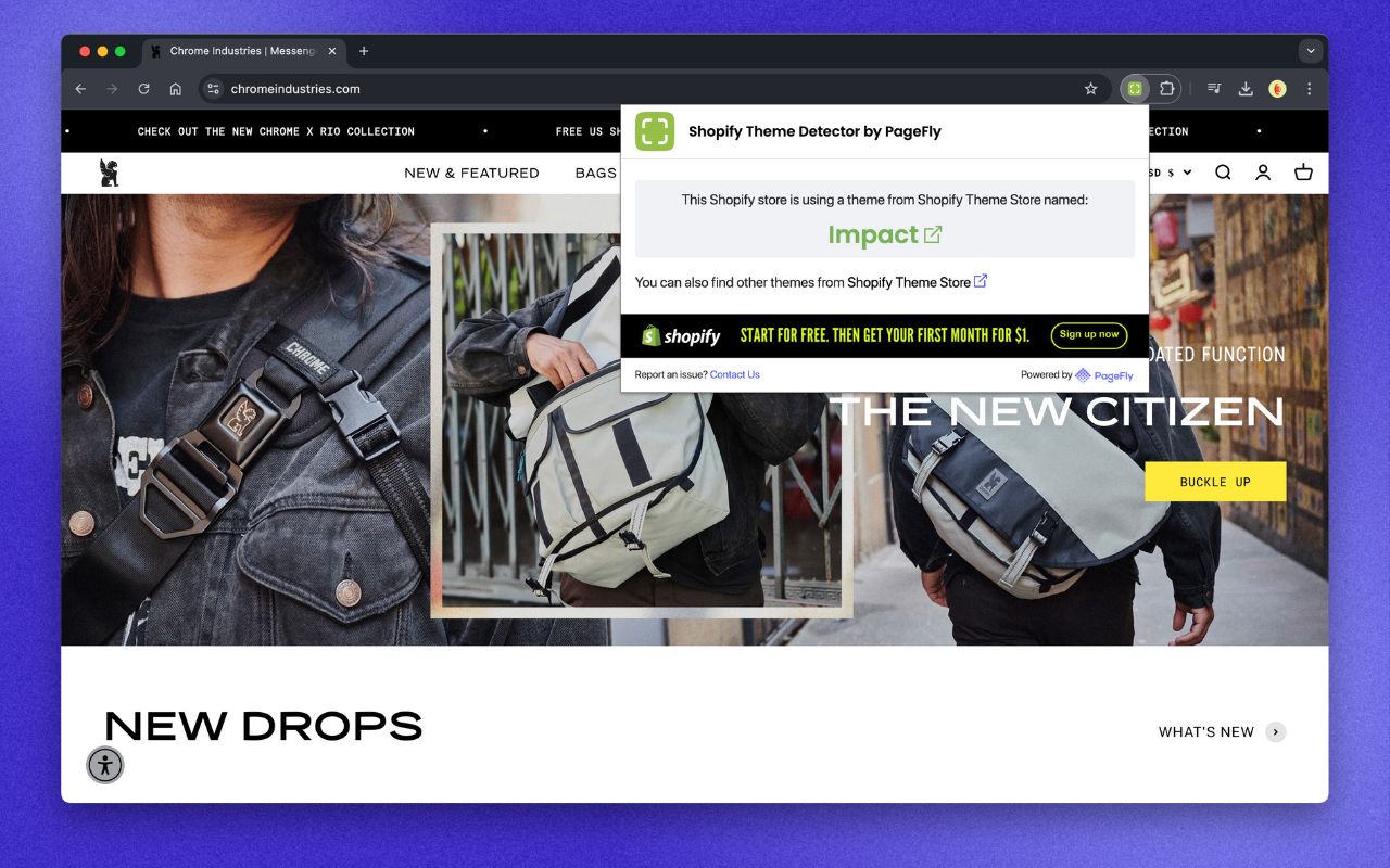 Shopify Theme Detector by PageFly Extension截图4