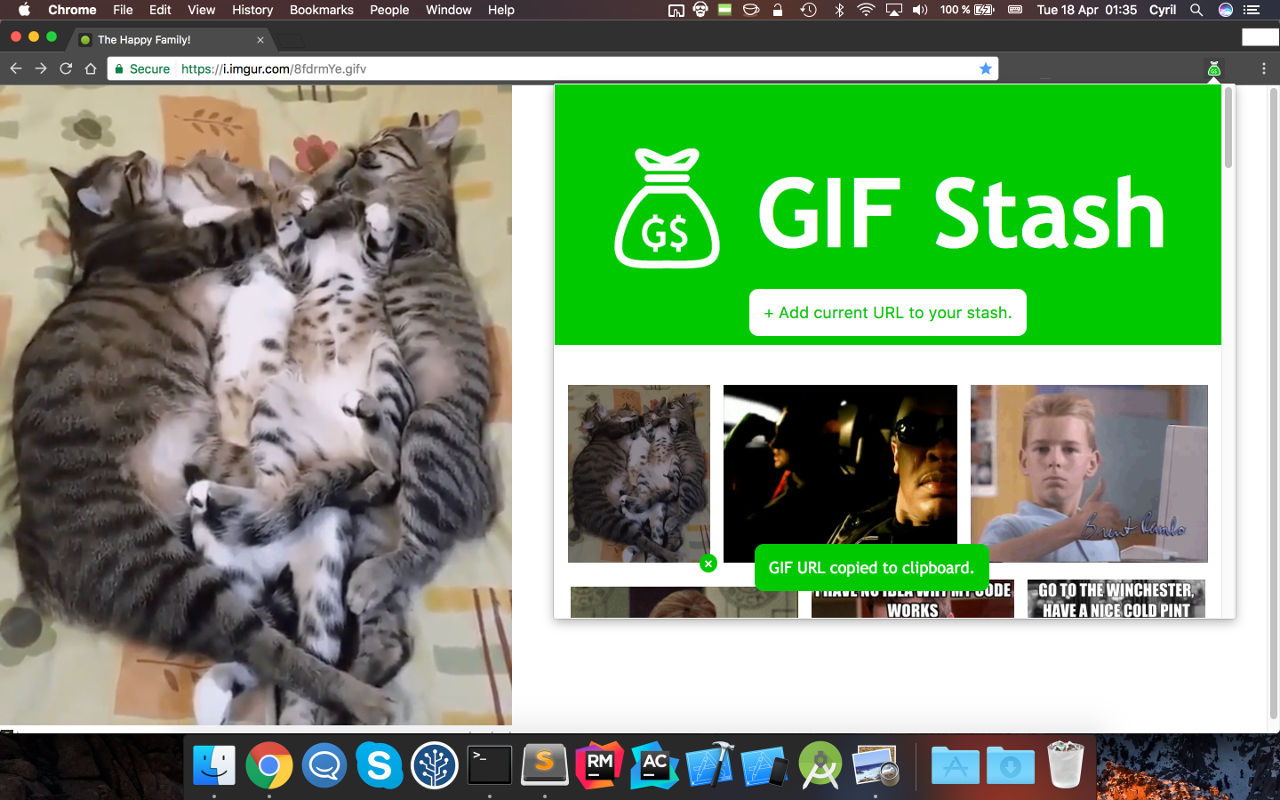 GIF Stash截图1