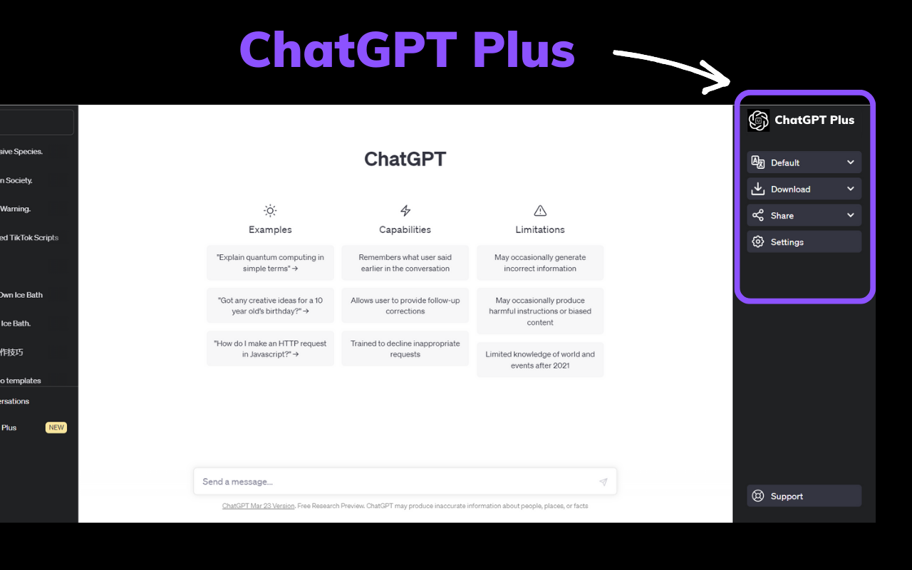 ChatGPT Plus - 批量导出 GPT 对话内容截图1