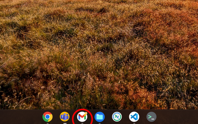 Badge Notifications for Gmail PWA截图1