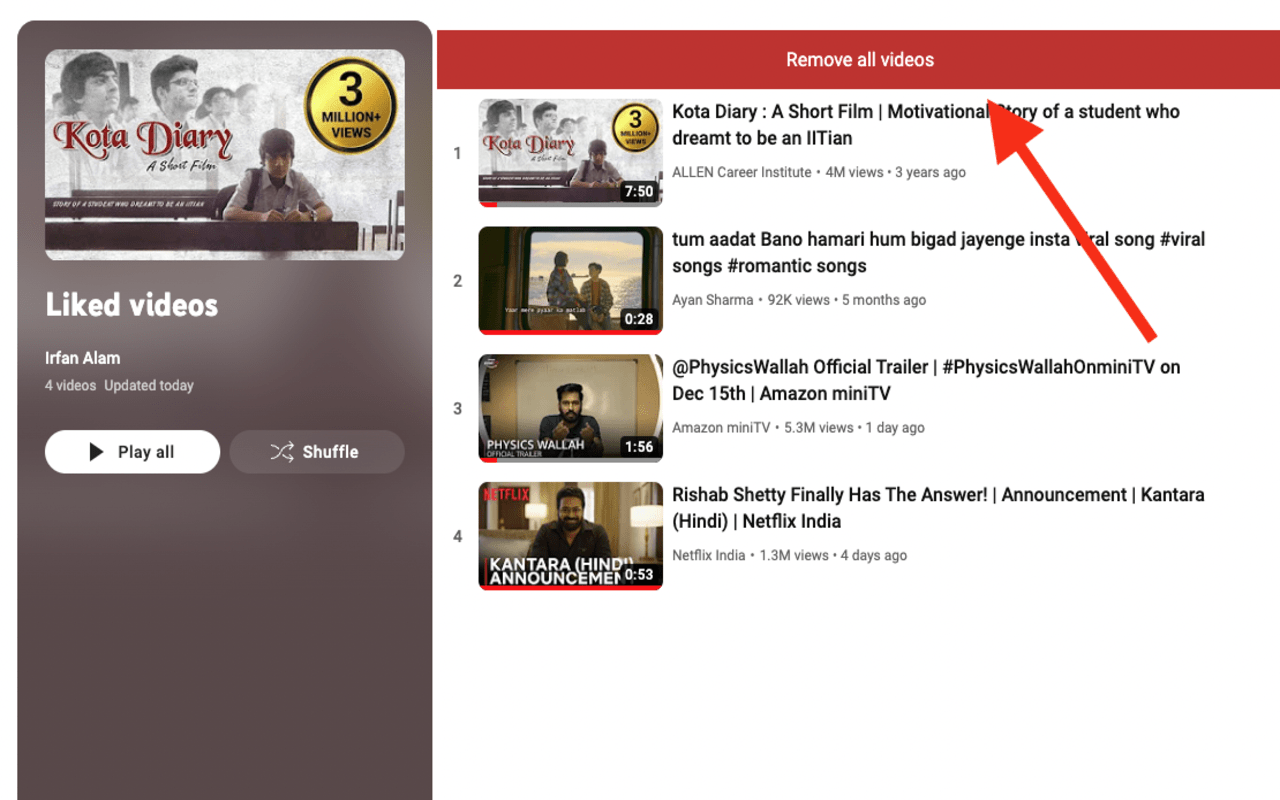 YT Watch Later Assist截图4