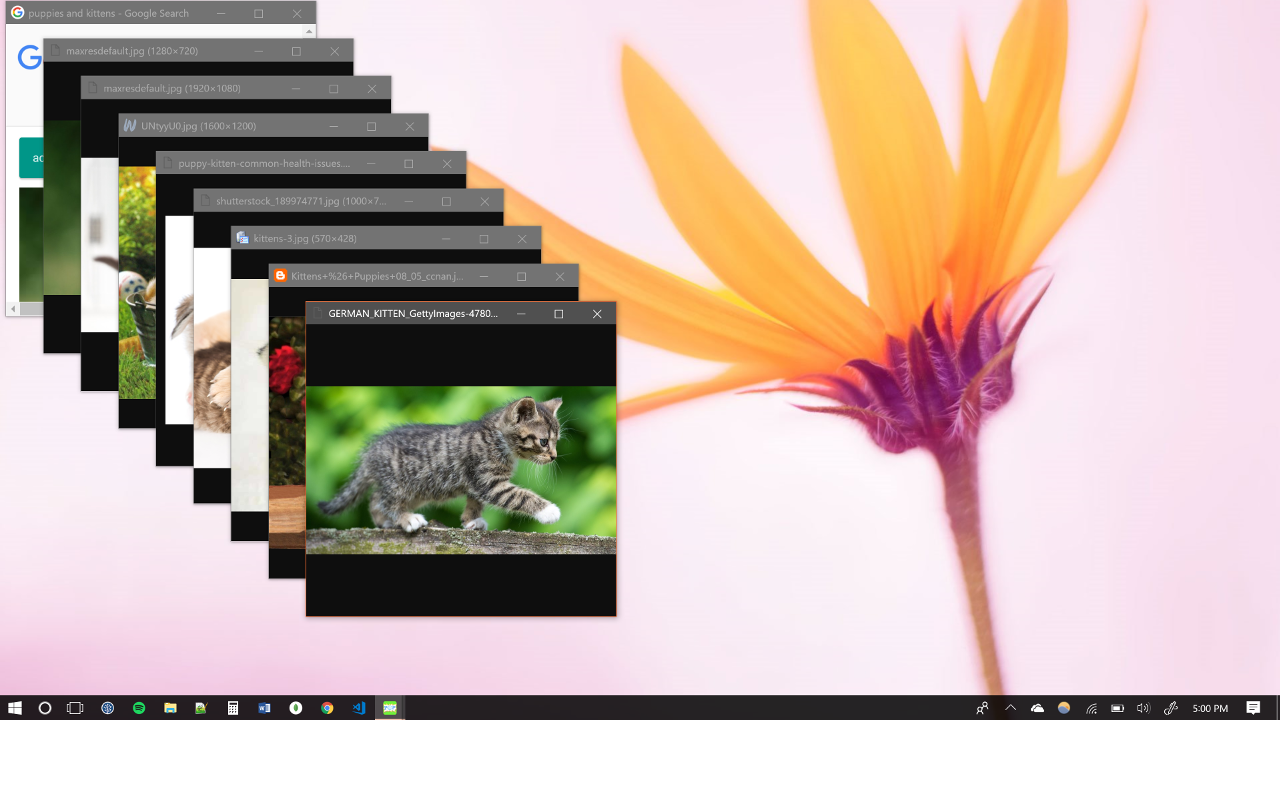 Popout Plus截图4