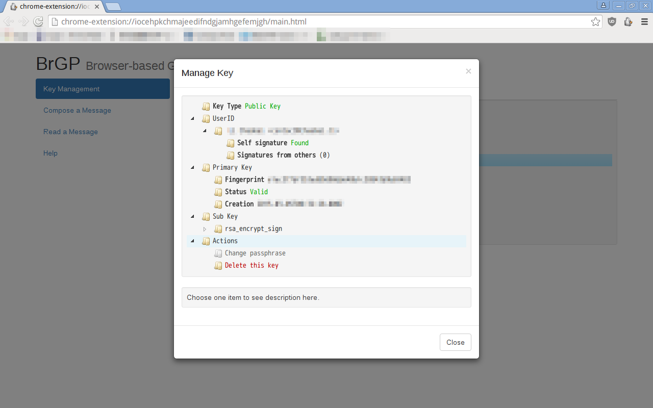 BrGP for Chrome截图1