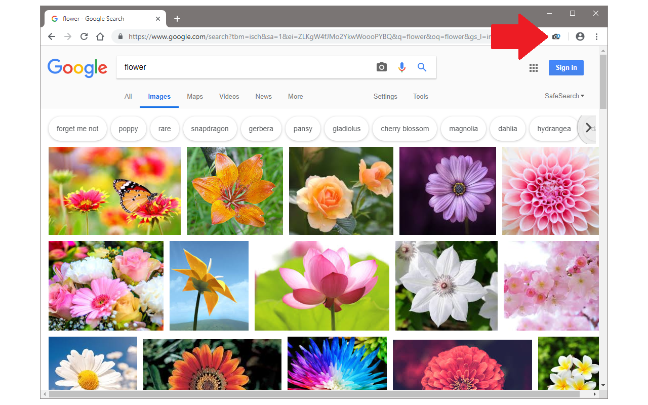 Image Downloader截图1