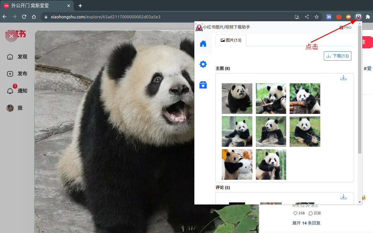 小红薯--小红书图片视频下载/图片文本识别截图2