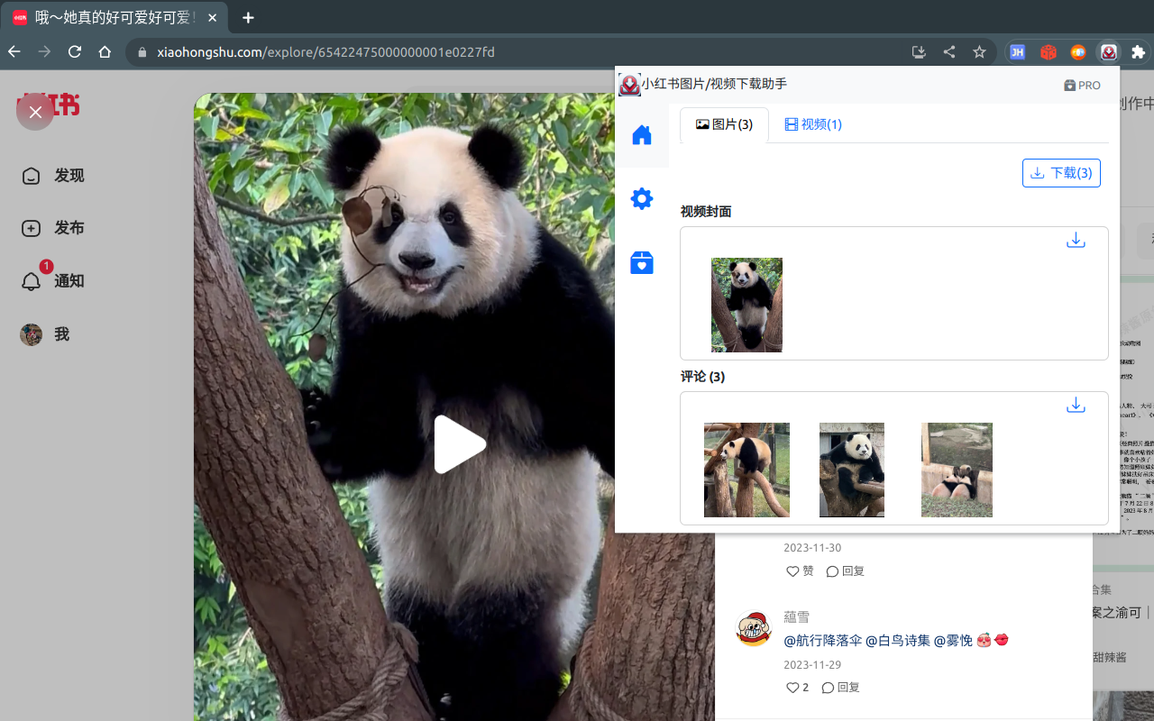 小红薯--小红书图片视频下载/图片文本识别截图3