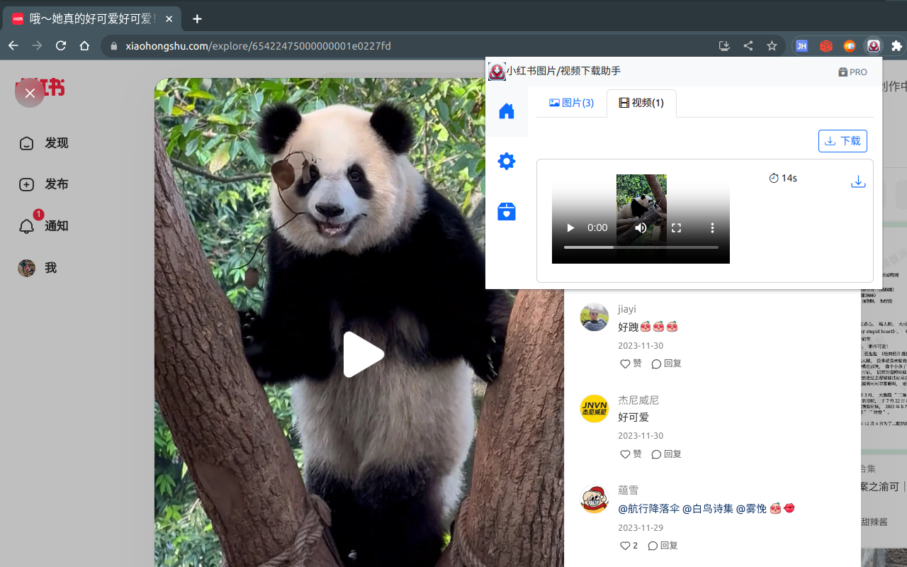 小红薯--小红书图片视频下载/图片文本识别截图4