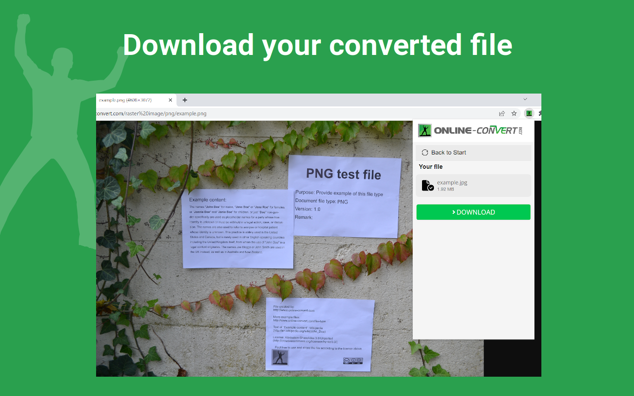 文件转换器 - By Online-Convert.com截图1