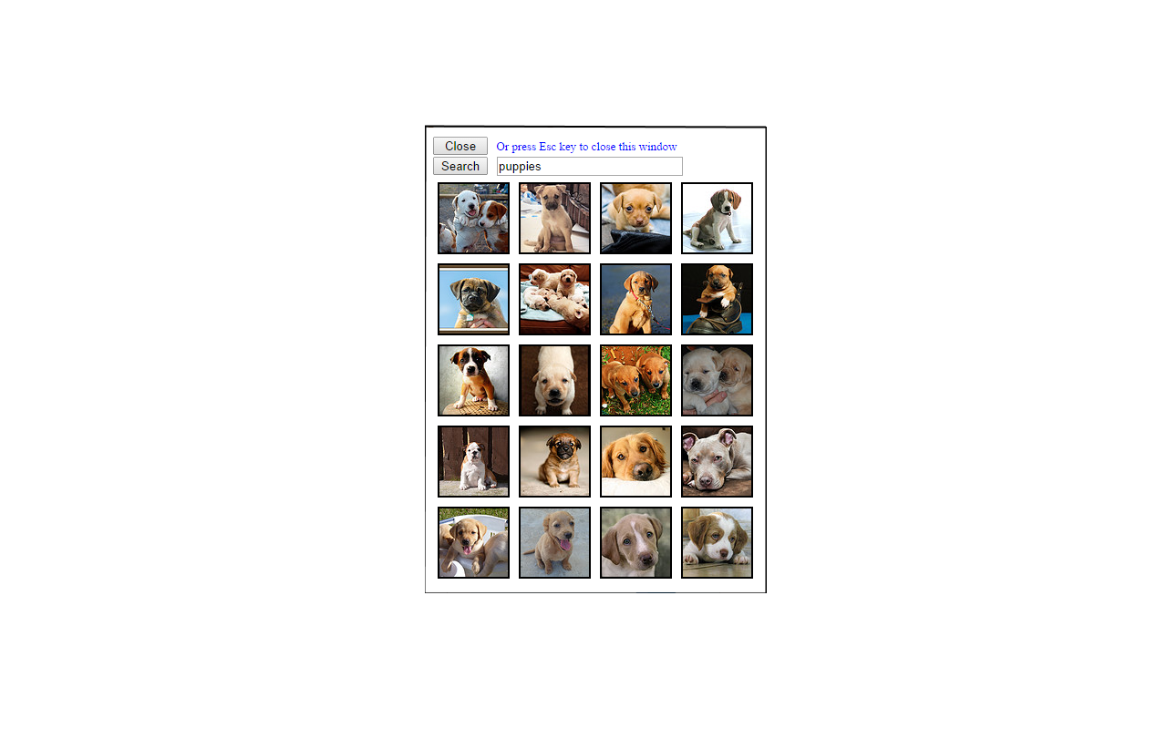 Flickr Photo Search截图1