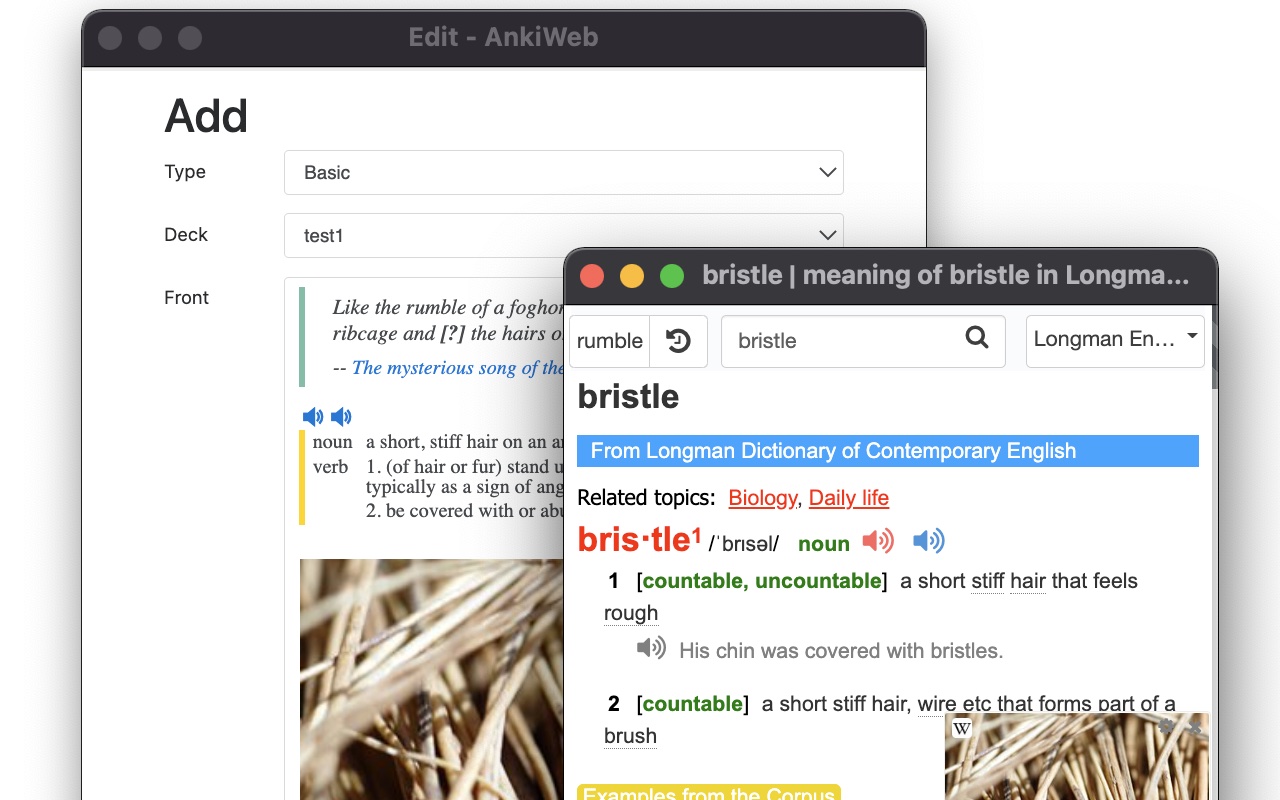 Dictionariez: Your Dictionary, Your Language截图2