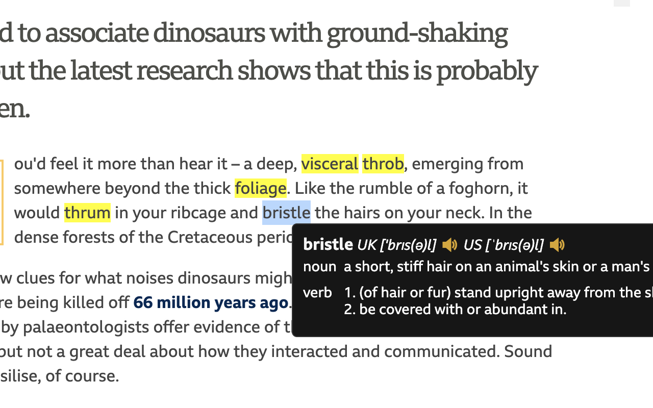 Dictionariez: Your Dictionary, Your Language截图4