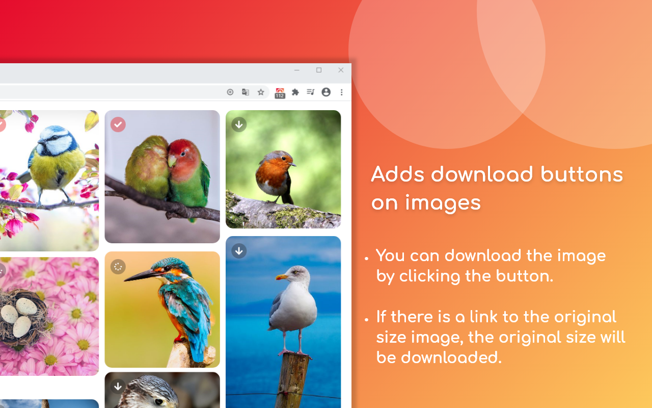 One Click Image Downloader截图1