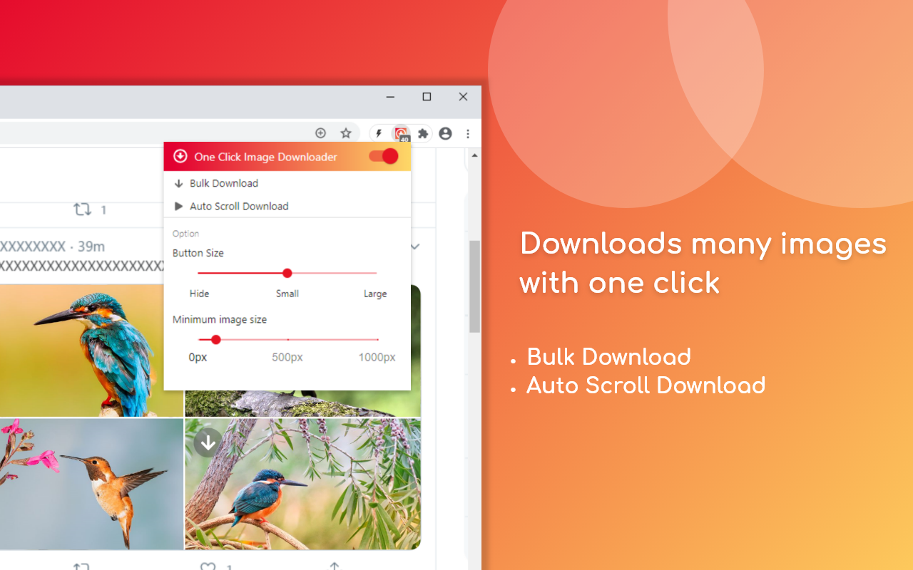 One Click Image Downloader截图2