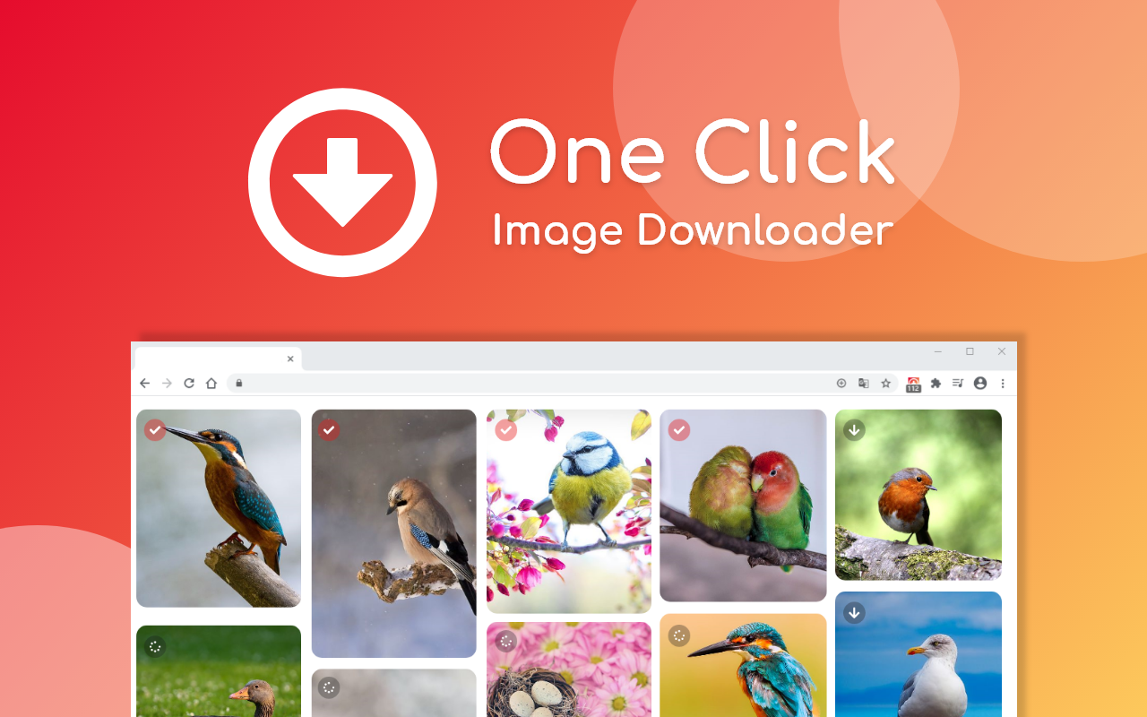 One Click Image Downloader截图3
