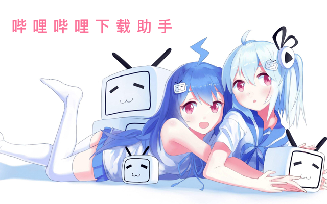 哔哩哔哩下载助手截图2