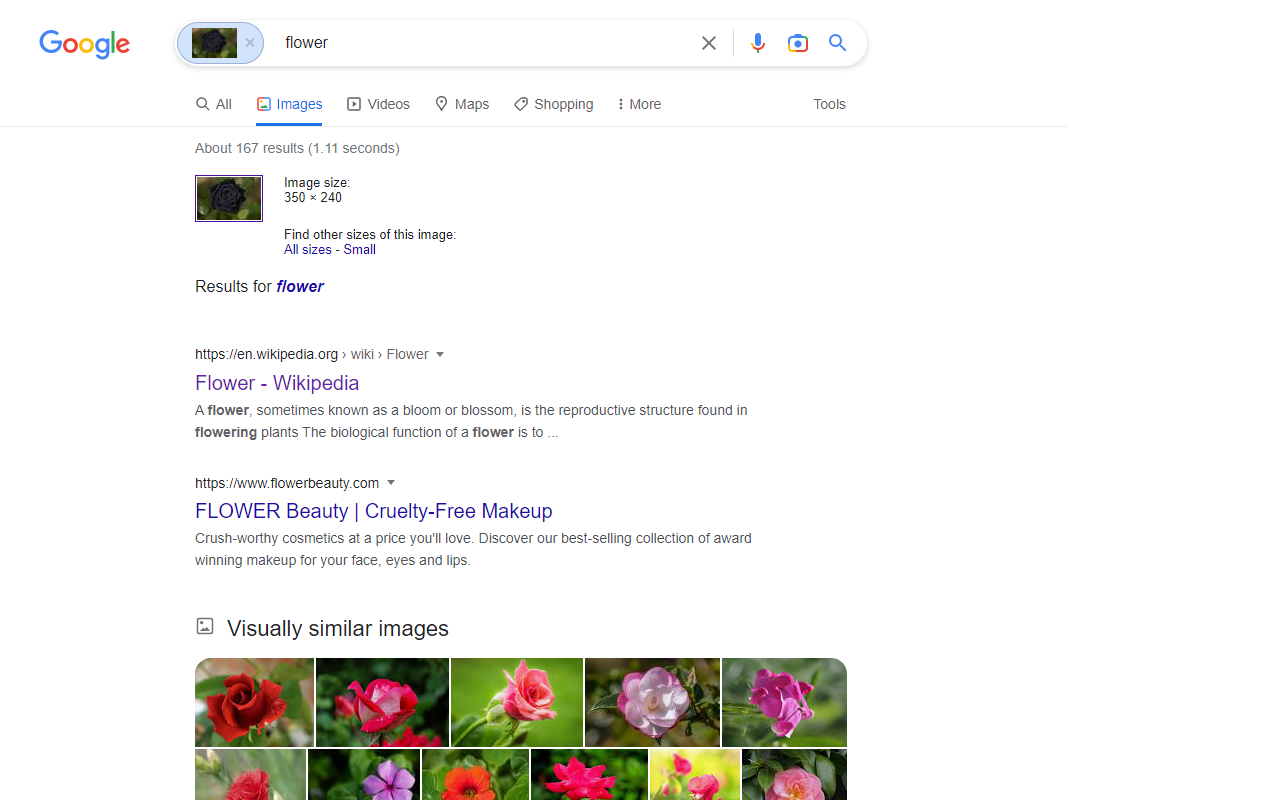 Disable Google Lens截图1