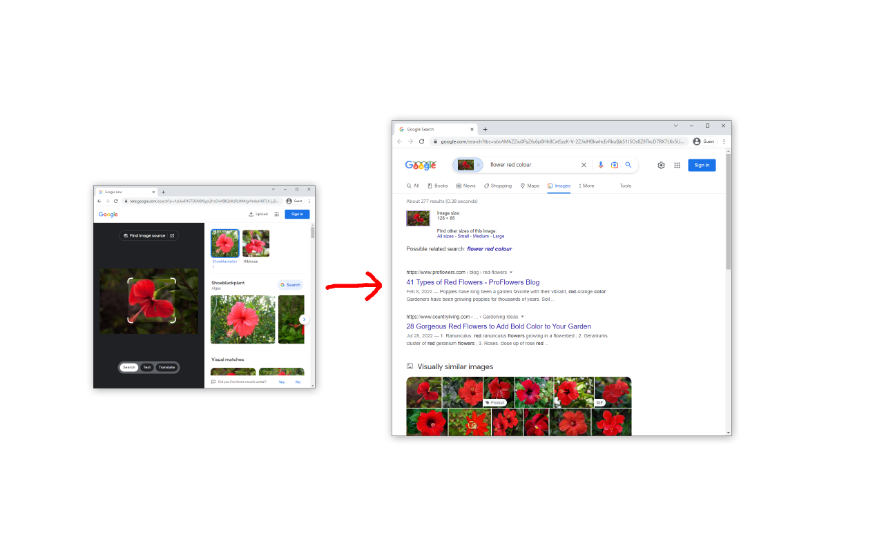 Disable Google Lens截图2