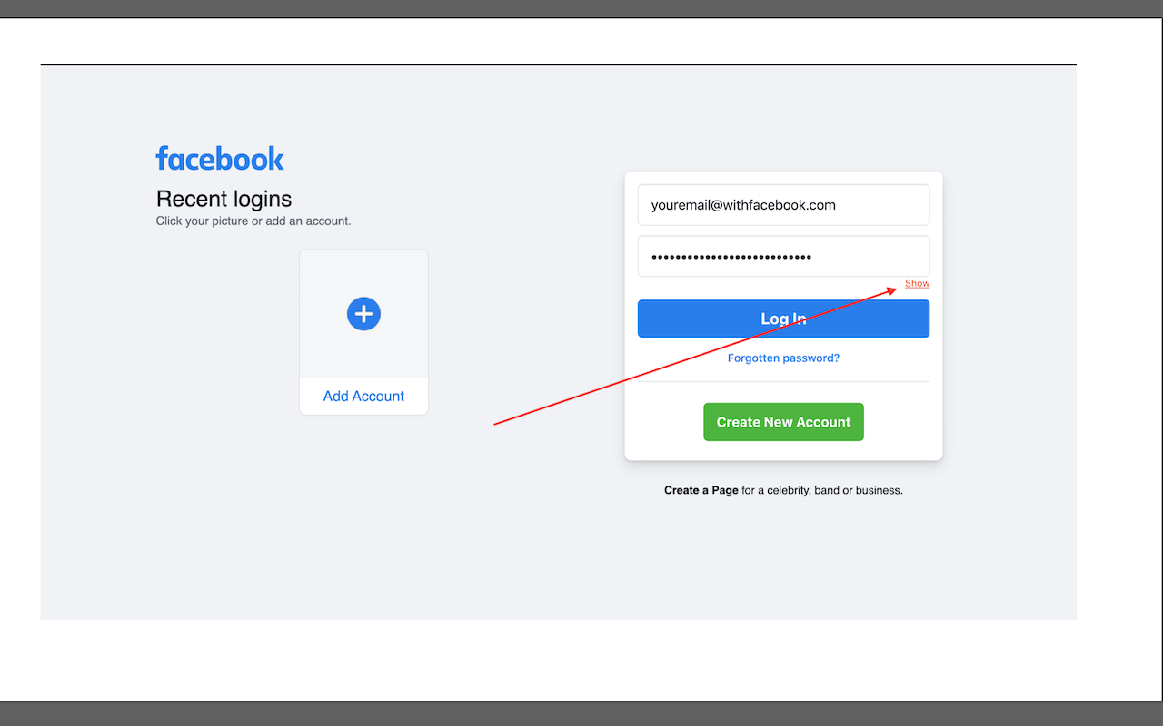 Password Viewer截图1