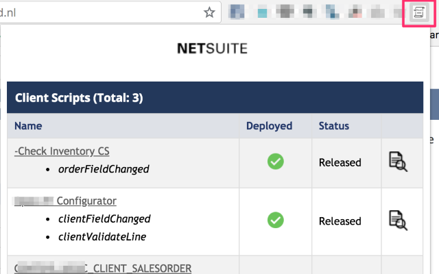 NetSuite Scripted Records截图1