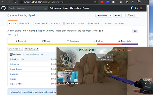 PIPvid截图5